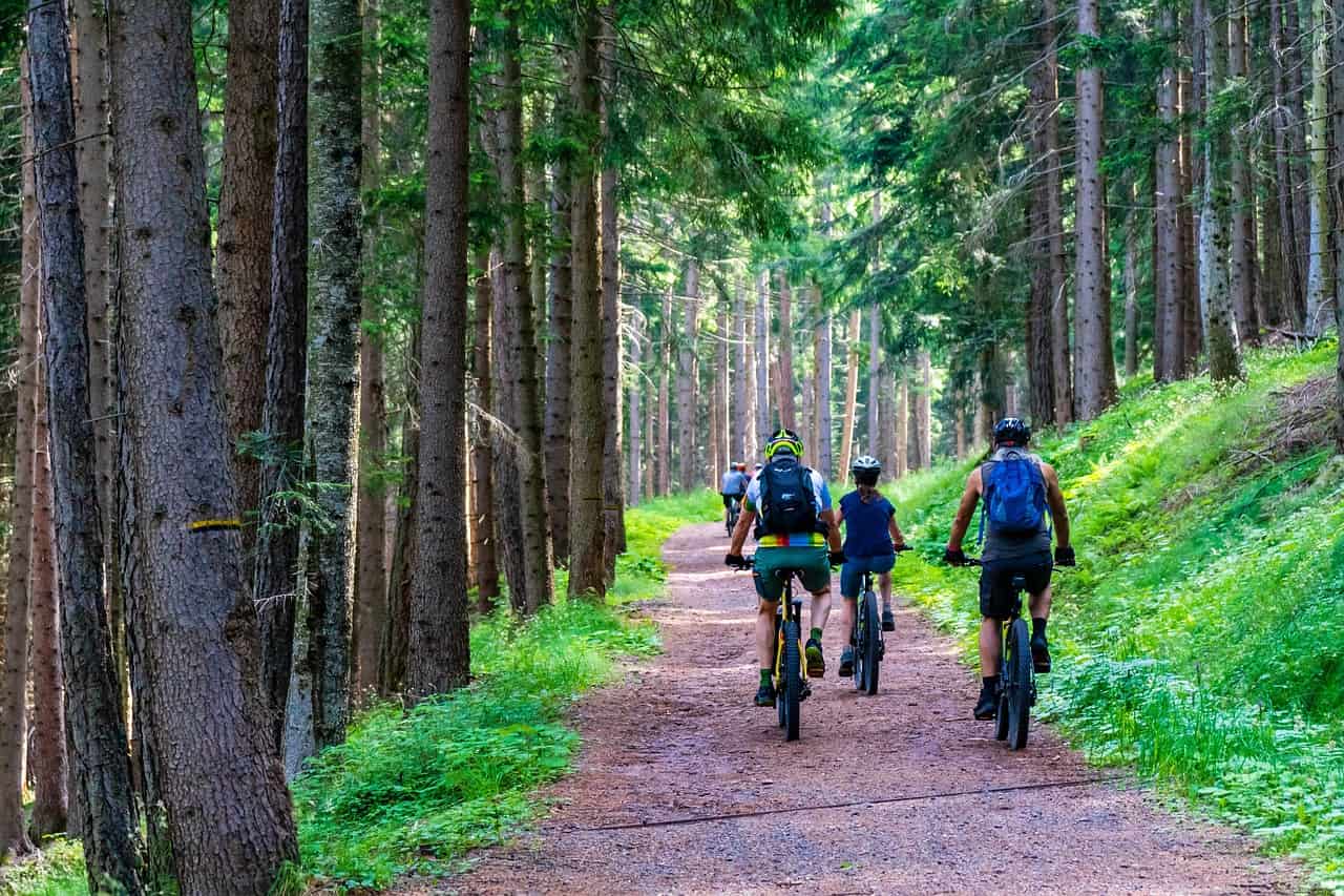 e-biker fahren auf einem forstweg durch den wald. e-bike hotel bayern
