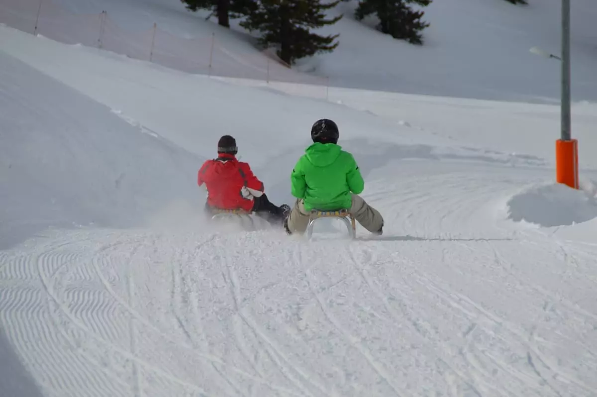 Zwei Schlittenfahrer mit Helm von hinten auf einer schneebedeckten Rodelbahn in Oberbayern