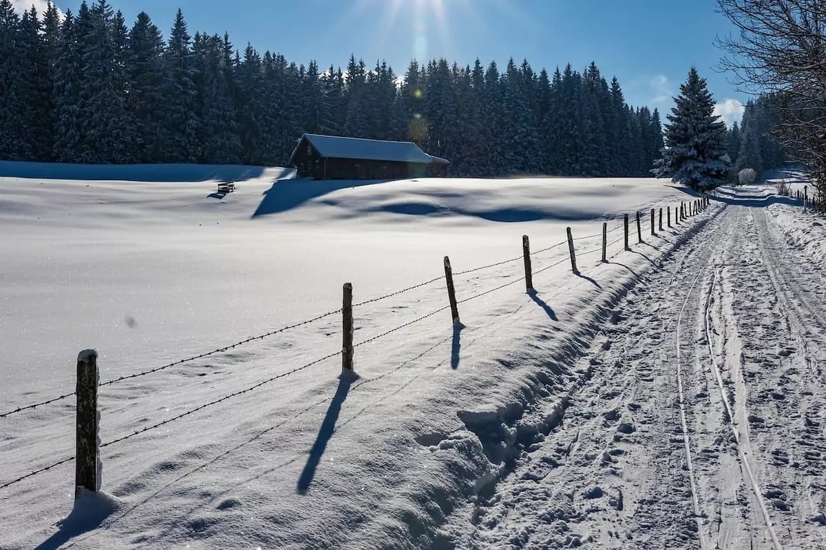 geräumter winterwanderweg in oberbayern. schneebedeckte wiesen, bäume und eine hütte.