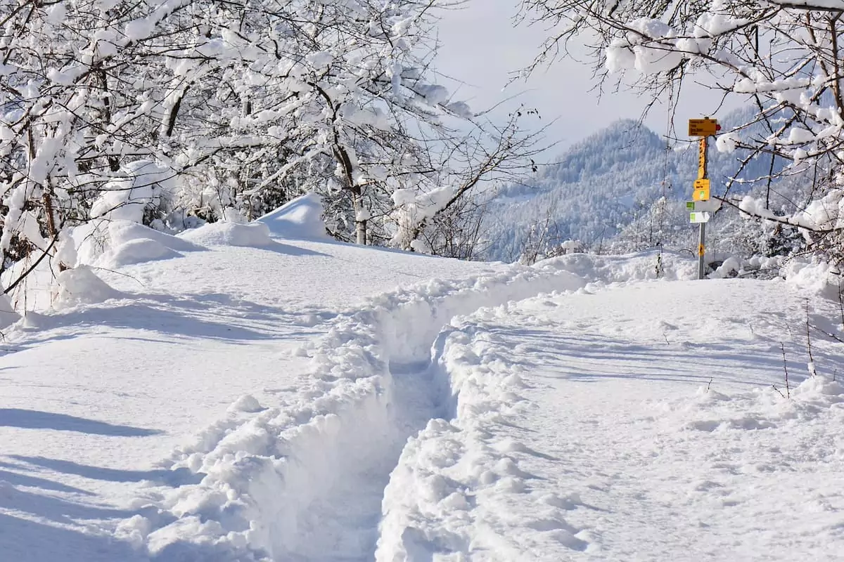 winterwanderweg in oberbayern durch den hohen schnee. berge im hintergrund
