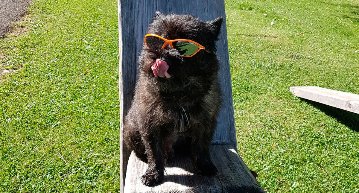 Pfingsturlaub in Bayern mit Hund